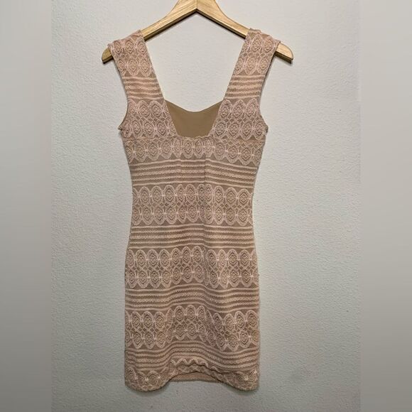 Pink and Tan Lace Dress - Picture 4 of 7